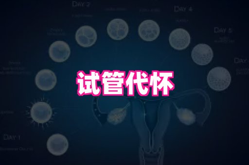 天津助孕网站 4